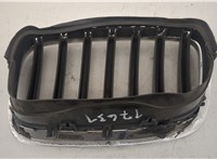  Решетка радиатора BMW X6 E71 2007-2014 20627322 #6