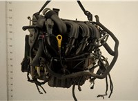  Насос гидроусилителя руля (ГУР) Mazda 2 2003-2007 11515182 #2