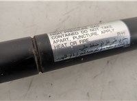  Амортизатор крышки багажника Nissan 350Z 2002-2009 20627602 #2