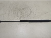 Амортизатор капота Mercedes ML W164 2005-2011 20627670 #4