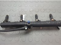  Форсунка топливная Citroen C4 Picasso 2006-2013 20627830 #1