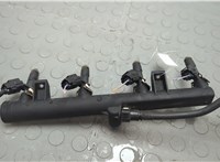  Форсунка топливная Citroen C4 Picasso 2006-2013 20627830 #4