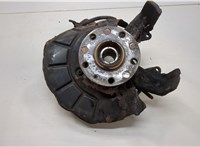 Ступица (кулак, цапфа) Volkswagen Jetta 5 2004-2010 20627900 #1