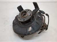  Ступица (кулак, цапфа) Volkswagen Jetta 5 2004-2010 20627925 #1