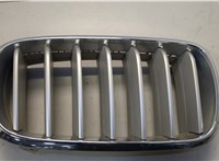 51117303108, 7316076 Решетка радиатора BMW X5 F15 2013-2018 20628098 #1