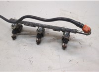  Форсунка топливная Smart Fortwo 2007-2015 20628226 #1