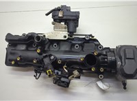  Коллектор впускной Opel Insignia 2008-2017 20628291 #4