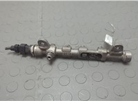55215208 Рампа (рейка) топливная Lancia Delta 2008-2014 20628885 #1