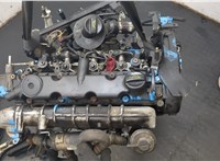 0135FE Двигатель (ДВС) Peugeot 307 2001-2008 20629105 #14