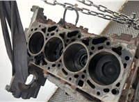 1376421, 1439426, 6C1Q6011EB Блок цилиндров (Шорт блок) Ford Transit 2006-2014 20629624 #7