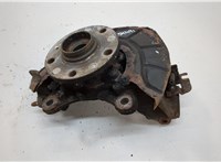 1K0407621F, 1K0407256AA Ступица (кулак, цапфа) Volkswagen Golf 6 2009-2012 20630383 #1