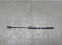  Амортизатор крышки багажника Chevrolet Aveo (T250 / 255) 2006-2012 20630876 #1
