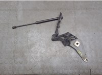  Амортизатор капота BMW X6 E71 2007-2014 11517515 #3