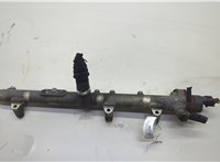 3140027001 Рампа (рейка) топливная KIA Sportage 2004-2010 20631005 #1