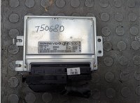  Блок управления двигателем Hyundai Tucson 1 2004-2010 20631083 #1