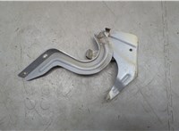  Петля капота Nissan Kicks 2020-2024 20631114 #2