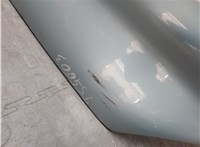  Капот Mercedes CLK W209 2002-2010 20631514 #13
