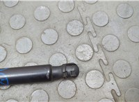M1PBS406A11AG Амортизатор крышки багажника Ford Bronco Sport 2020-2024 20631555 #3
