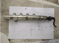  Рампа (рейка) топливная Opel Vectra C 2002-2008 20631790 #1