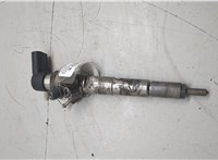 166008052R Форсунка топливная Renault Scenic 2009-2012 20631862 #6