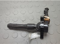 1748017 Катушка зажигания BMW X5 E53 2000-2006 20631953 #1