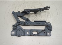  Петля капота BMW 5 F10 2010-2017 20631956 #3