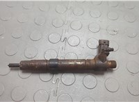  Форсунка топливная Land Rover Freelander 2 2006-2014 20632268 #1