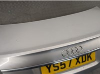 8E0943021B, 8E0943022B Подсветка номера Audi A6 (C6) 2004-2011 11518347 #2
