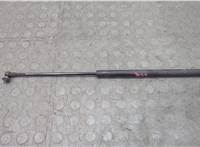  Амортизатор капота Toyota Sequoia 2000-2008 20632536 #1