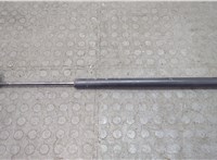  Амортизатор крышки багажника Toyota Sequoia 2000-2008 20632541 #1