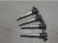 07K905115F Катушка зажигания Skoda Octavia (A5) 2004-2013 20633279 #1