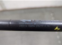  Амортизатор крышки багажника BMW X6 E71 2007-2014 20633476 #3