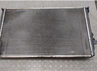 1J0121253AC Радиатор охлаждения двигателя Seat Leon 1999-2006 20633999 #6