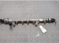  Рампа (рейка) топливная Volkswagen Golf 6 2009-2012 20634904 #1