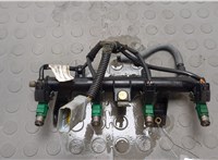 1984G0, 198542 Форсунка топливная Peugeot 206 1998-2012 20635103 #1