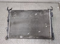  Радиатор охлаждения двигателя Nissan Qashqai 2006-2013 20635290 #1