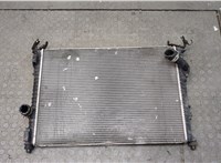  Радиатор охлаждения двигателя Nissan Qashqai 2006-2013 20635290 #7