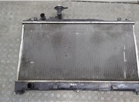  Радиатор охлаждения двигателя Mazda 6 (GG) 2002-2007 20635320 #1