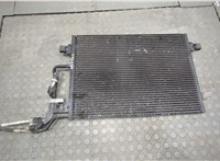Радиатор кондиционера Skoda SuperB 2001-2008 20635347 #5