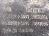 81082016097, 81082016099 Воздухозаборник Man TGX 2012-2021 20635447 #4