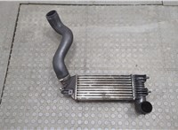  Радиатор интеркулера Citroen C5 2001-2004 20635486 #1