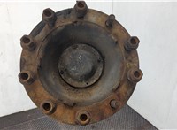  Ступица (кулак, цапфа) DAF CF 85 2001-2013 20635533 #1