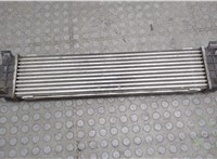  Радиатор интеркулера Ford S-Max 2010-2015 20635560 #1