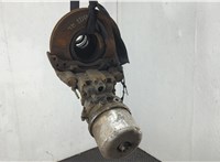  Ступица (кулак, цапфа) DAF LF 2001-2013 20635656 #1