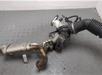 Клапан рециркуляции газов (EGR) Renault Megane 4 2016-2020 20635735 #8