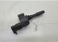 05E905110 Катушка зажигания Skoda Octavia (A8) 2019-2025 20635757 #1