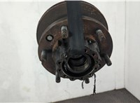 7189454 Ступица (кулак, цапфа) Iveco EuroCargo 3 2015-2025 20636226 #2