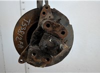  Ступица (кулак, цапфа) Iveco EuroCargo 2 2002-2015 20636390 #3