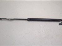 5345075010 Амортизатор капота Lexus HS 2009-2018 20636407 #1