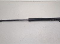 5344075010 Амортизатор капота Lexus HS 2009-2018 20636412 #1